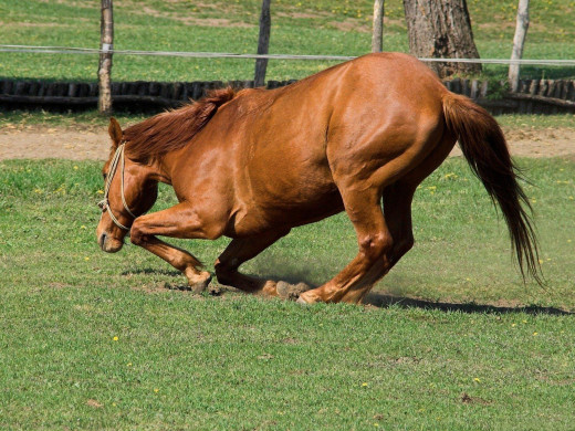 358089 (a): :1600x1200